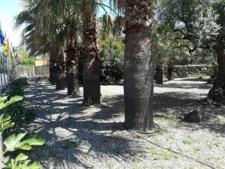 Cozy Etna Apartment with Pool - 1