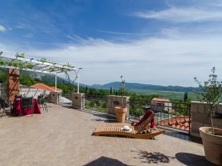 Stunning villa in Pridvorje with private pool - Pridvorje - 5
