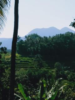 Pondok Alam Bukit - Tirtagangga - 3