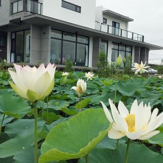 Xian Jing B&B - 6