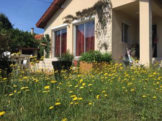 Maison 9 personnes avec jardin proche Paris et Disneyland - Saint-Maur-des-Fossés - 3