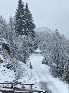 Residence du Lac - 2 Bedroom apartment - 8