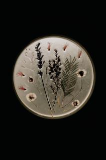 Maringotka Gerlovka Šumava - 1