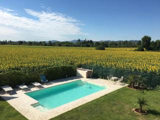 il leccio - San Lazzaro di Savena - 9