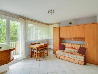 Studio à Cauterets: 4 pers, parking, proche télécabine et centre - FR-1-401-48 - Cauterets - 0