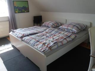 Ruhiges Zimmer direkt an den Leineauen - Hemmingen - 1