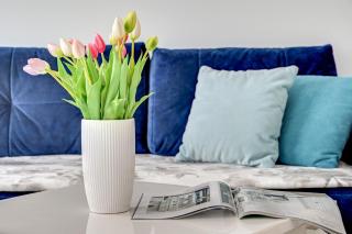 Apartamenty Piamola Jantar Park - 4