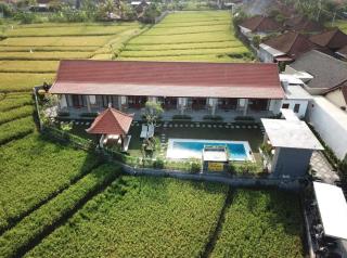 Rara Guesthouse - Canggu - 3