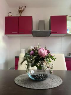 Apartment Ružica - Sukošan - 1