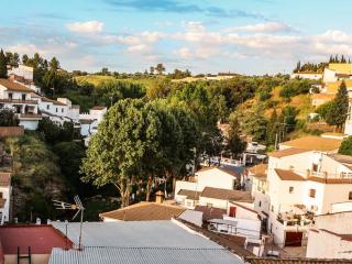 SEÑORÍO de MARÍN piscina climatizada exterior - Arriate - 6