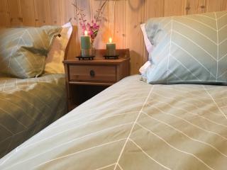 Reinunga Eco Hytta - Mountain lodge near Myrdal accessible only by train or bike - Myrdal - 0