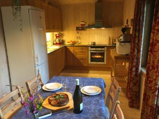Reinunga Eco Hytta - Mountain lodge near Myrdal accessible only by train or bike - Myrdal - 1