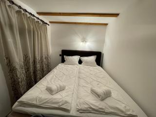 Forest House Divcibare - 3