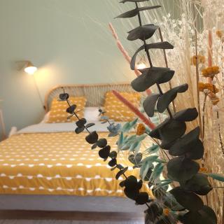 Vagabondes chambres d'hôtes - Azay-le-Rideau - 5