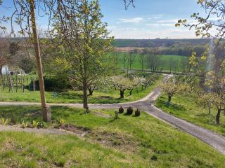 Landhaus mit Weinkeller - Nádas Pince - 2