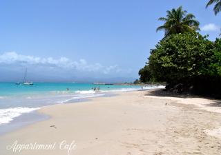 F3 tout confort " Appartement Café " - 5 min à pieds de la plage du Gosier et de tous commerces - Le Gosier - 0