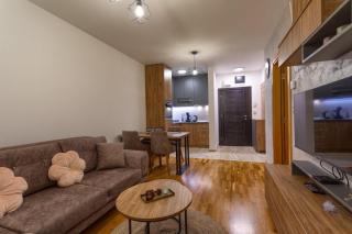 Apartman Mijailovic Zlatibor - Zlatibor - 1