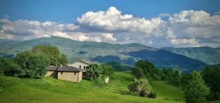 Agriturismo Il Noce d'Oro - Borgo Val di Taro - 9