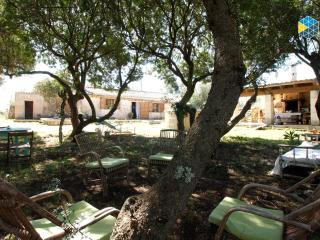 Finca na Pruna Holiday Home - 6