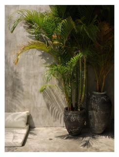 The Laut Bali - Private Design Villa with pool - Canggu - 1