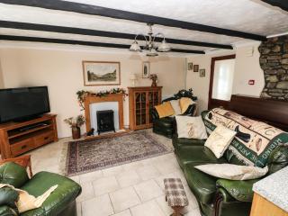Y Cartws - Llandysul - 0