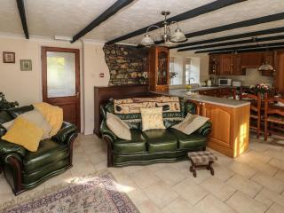 Y Cartws - Llandysul - 9