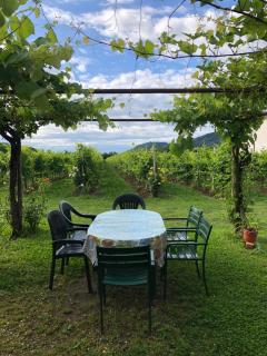 Agriturismo Al Col - Follina - 5