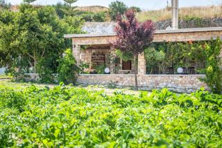 Emilia's Little Farmhouses - Agii Anargiri Milos - 6
