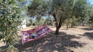 Sophia's cottage - Fourka - 2