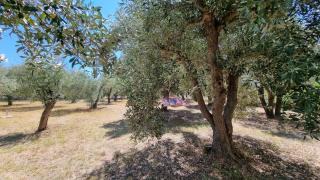 Sophia's cottage - Fourka - 1