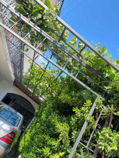 Apartmani Jelena - Crikvenica - 6