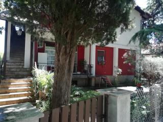 Pine Apartment - 4