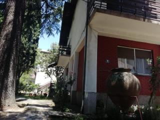 Pine Apartment - Gevgelija - 5