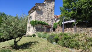 Le pigeonnier de felines - Caylus - 0