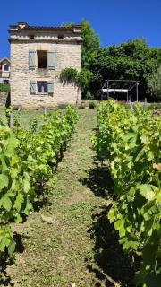 Le pigeonnier de felines - Caylus - 7