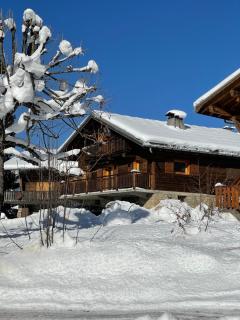 CHALET FAMILIAL AU PIED DES PISTES ET COMMERCES - Cohennoz - 9