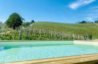 Madama Langa Country House con piscina nelle vigne - 0