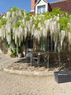 Chambres d'hôtes, " au coeur de la nature, et du calme" - Descartes - 0