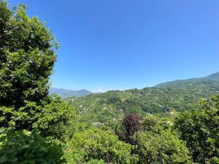 Maia's house - Batumi - 0