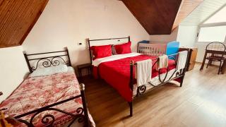 Hotel Drinos - Tirana - 2