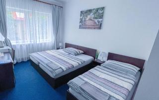 Minihotel Vitex - Praga - 0
