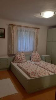 Haus Pinter in Schladming - Dachstein Region - Pruggern - 2