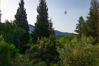 Les Manaux en Provence - 6