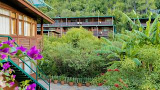 Turkmen Tree Houses - Olympos - 4