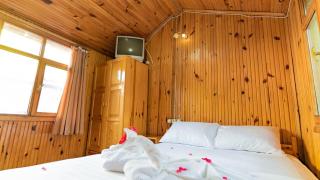 Turkmen Tree Houses - Olympos - 2
