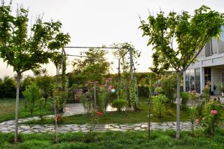 Beachfront, Tirana Guest House - 3