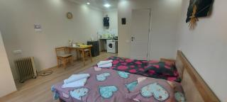 Cozy House III - Tbilisi - 9