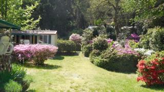 Camping & Resort Valle Romantica - Cannobio - 4