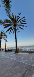 Marbella skol - Marbella - 2