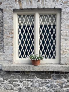 The Coach House - Dublino - 2